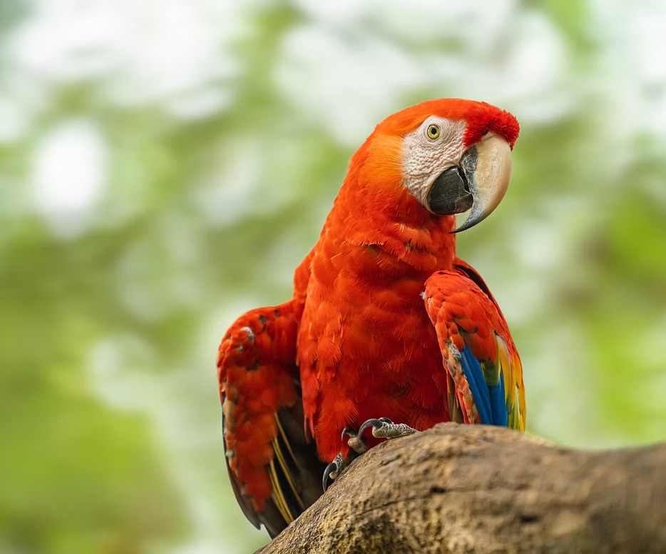 Wildlife Sanctuary